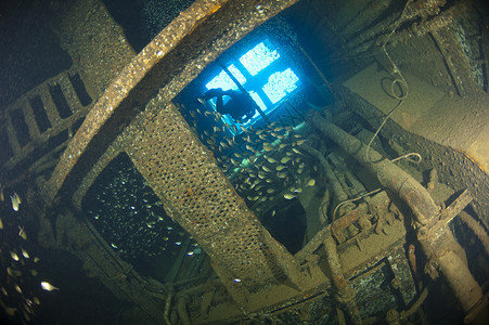 潜水员在一艘大型沉船的图片