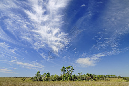 美丽的云团形成在佛罗里达州埃图片