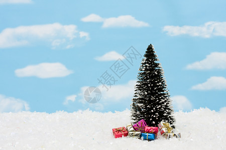 一棵松树在雪上送礼物天空图片