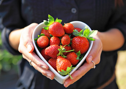心形碗草莓图片