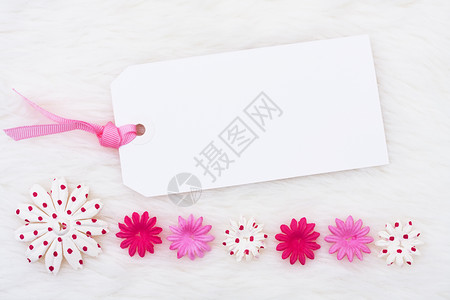 粉红色花朵在白色背景粉红图片