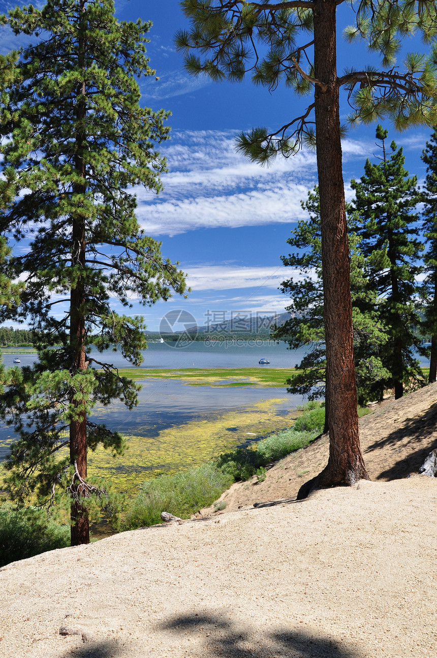 松树勾画了南加州山脉大熊湖的景象图片