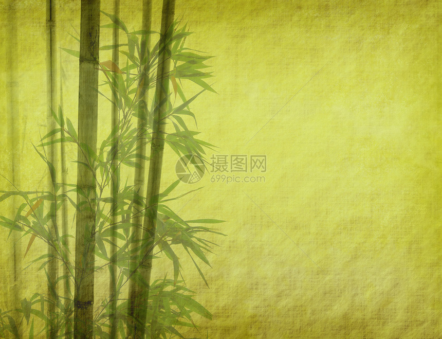 纸背景上竹枝的剪影图片
