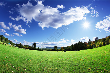 绿色牧场和明亮的蓝天图片