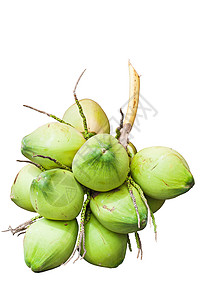 水果绿色椰子和白图片