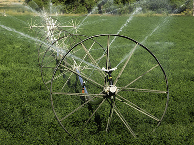 Turf农场灌溉系图片