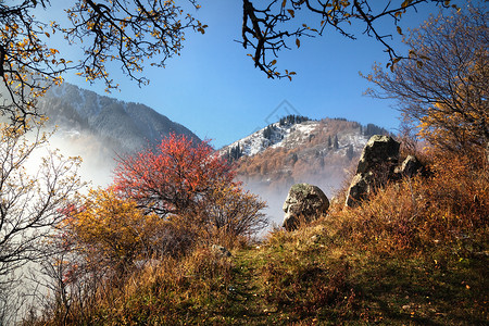 哈萨克斯坦天山的秋山图片