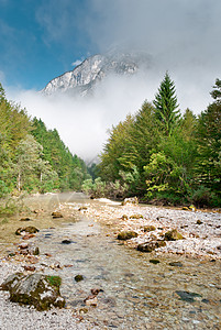 有大石头的山河在森林里图片