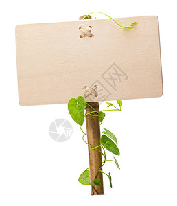 木制面板和绿色植物上的空信息用空符号图像在白高清图片