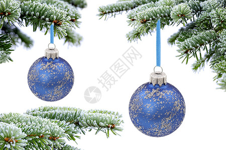 圣诞常青云杉树和雪上的蓝色玻璃球图片