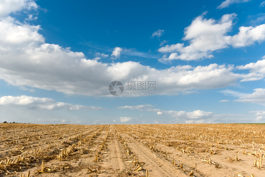 农田自然和农业耕作系列图片