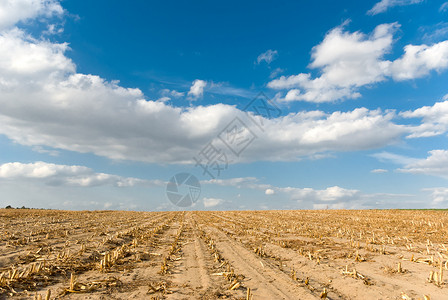 农田自然和农业耕作系列图片
