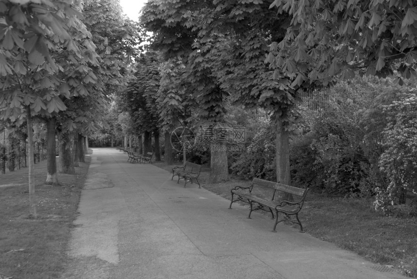 维也纳burggarten公园里一条美妙的小巷图片