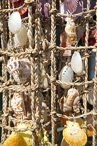 渔网上的贝壳图片