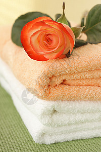 干净毛巾上的玫瑰图片