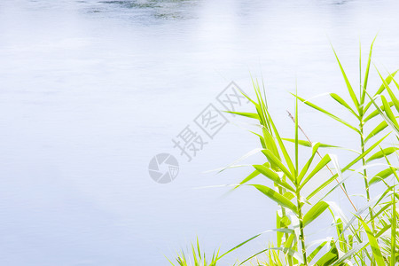 河流景观图片