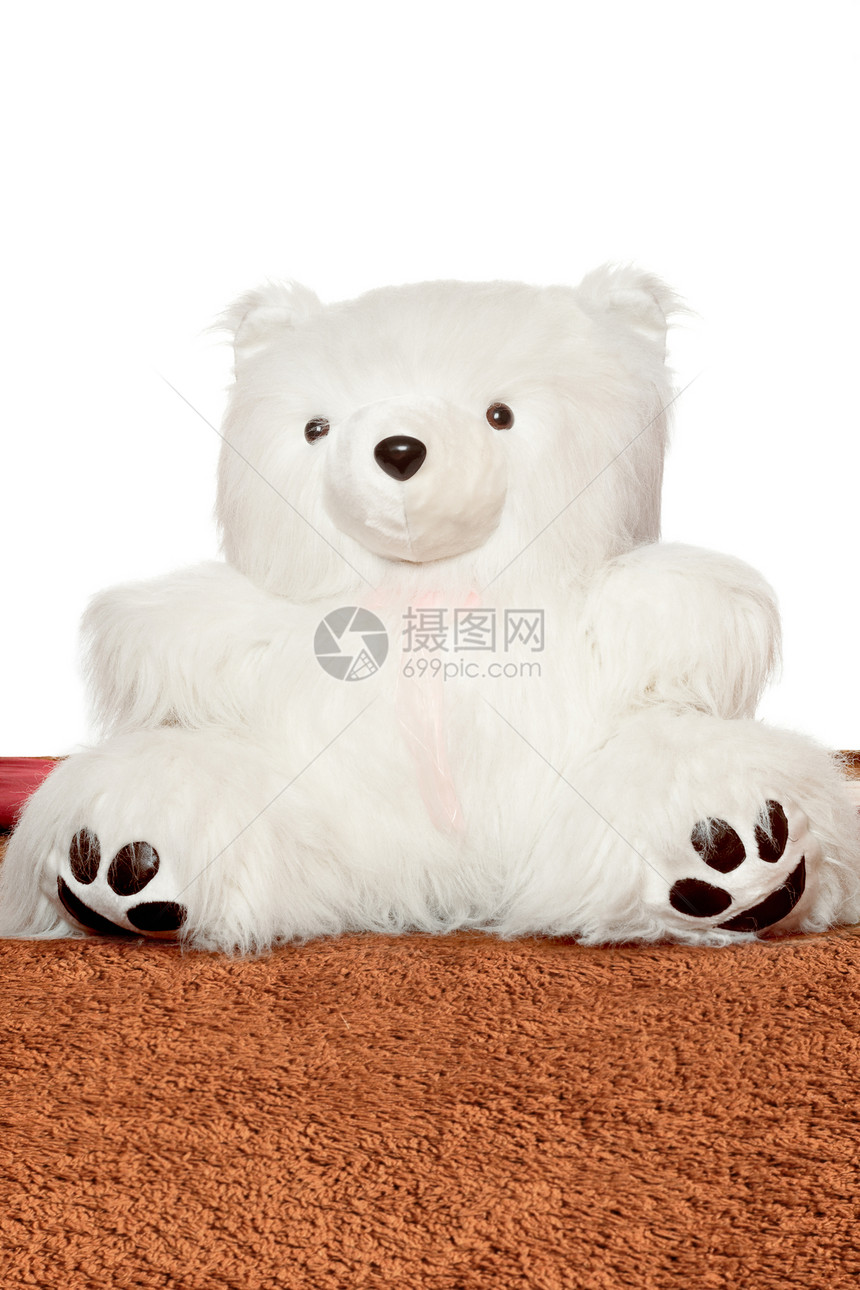 坐在棕色毯子上的大白色泰迪熊图片