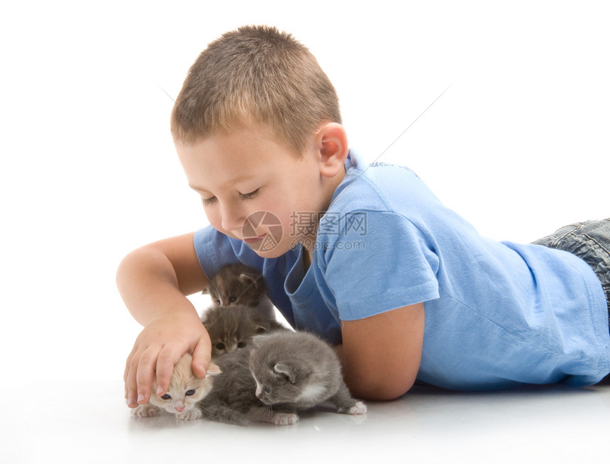 穿蓝色T恤的小男孩和一只毛茸的小猫在图片