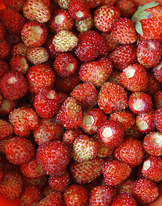 草莓水果作为图片