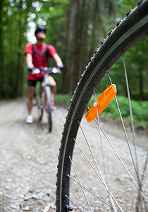 森林自行车道上的骑自行车者图片