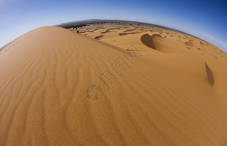 沙漠景观梅图片
