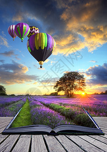 夏季熏衣草地风景的热气球从魔背景图片