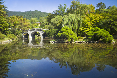 韩国海印寺美丽的花园图片