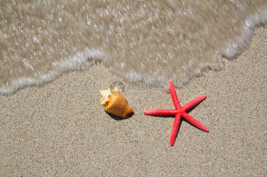 海滩星和贝壳与海浪上岸图片