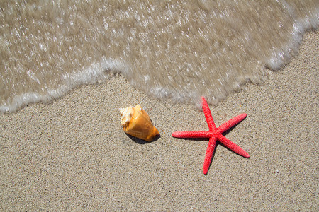 海滩星和贝壳与海浪上岸背景图片