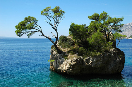 克罗地亚的岛屿和树木自然图片