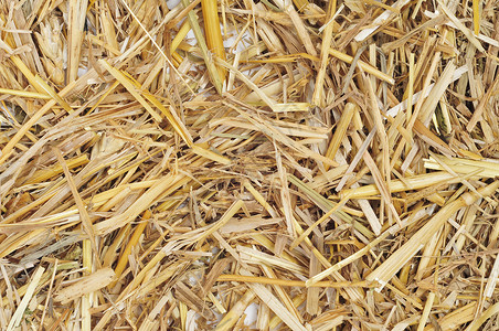 一堆金色稻草的特写图片