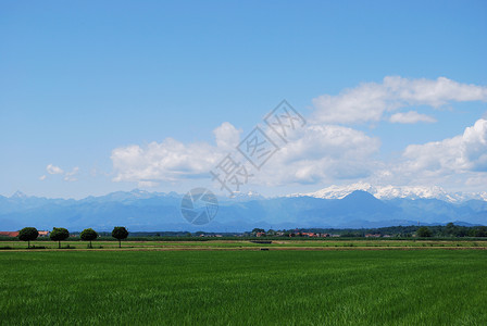 夏季平坦农田背景的阿尔卑斯山脉意大利图片