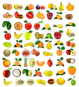 大量分离的水果背景图片