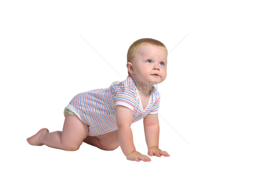 婴儿爬遍所有四肢往上看孤立图片
