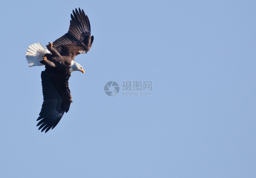 在爱达荷州的Coeurdalene湖空图片