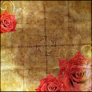 美丽的复古纸背景与玫瑰剪影背景图片