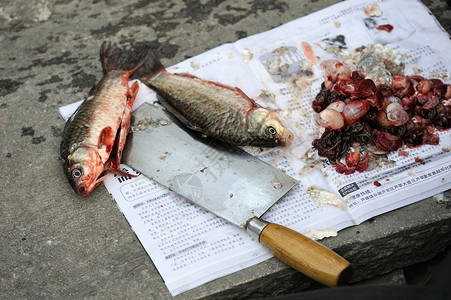 躺在街上一家报纸上的清洁鱼准备在准备晚图片