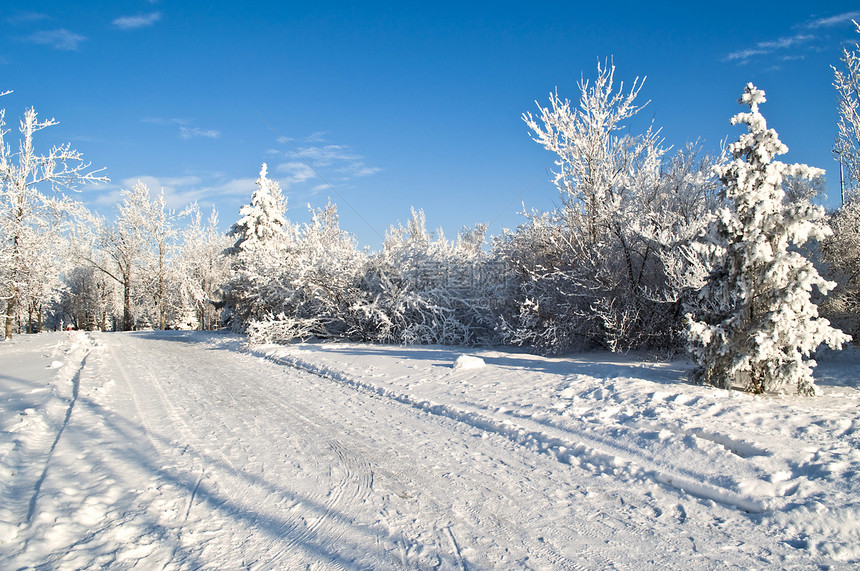 雪中的冬季公园图片