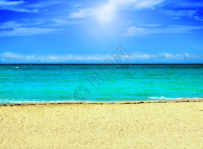热带海滩有明蓝天空黄沙和绿化水的图片