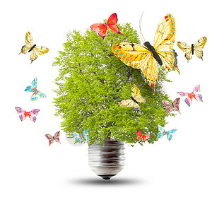 绿色能源概念从灯泡和蝴蝶图片