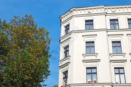 柏林的绿树和白色联排别墅图片