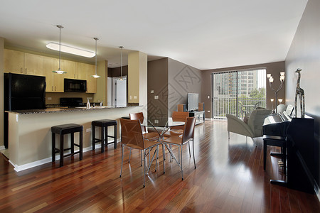 开放式平面图和花岗岩厨房台面的公寓图片