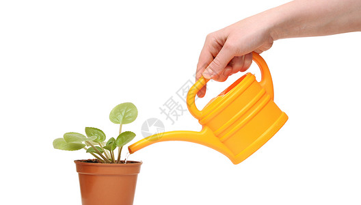 用黄色水罐给植物用水时用背景图片