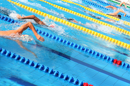 欧洲青年奥林匹克节的游泳者贝尔格莱图片