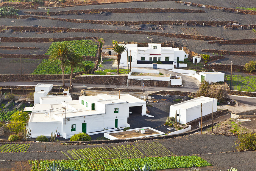 Lanzarote农村山图片