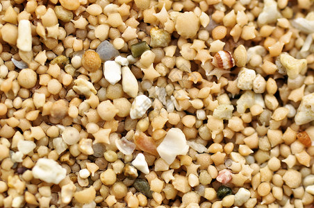 恒星形状的沙子只能在世界上的两个海滩上找到它实际上是微小动物的壳体图片