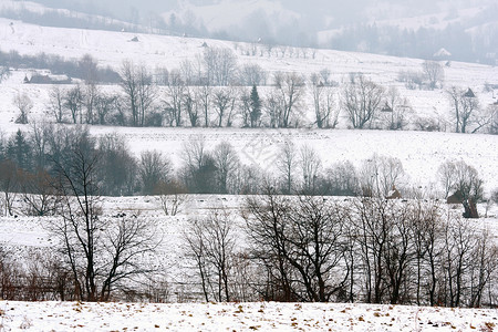 山丘上的冬季田野图片