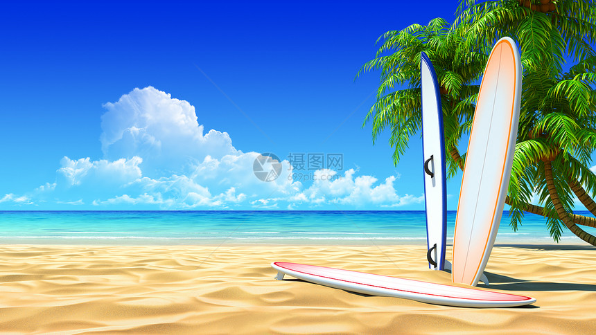 田园诗般的热带沙滩上的三个冲浪板图片