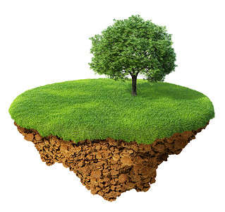 小精岛行星空中的一片土地草坪上有一棵树基地的详细地面成功和幸福的概念图片