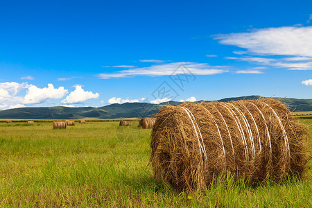 内蒙古草原的景象图片
